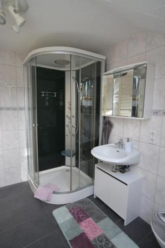 a bathroom with a shower and a sink at Ferienwohnung Späth in Ludwigswinkel