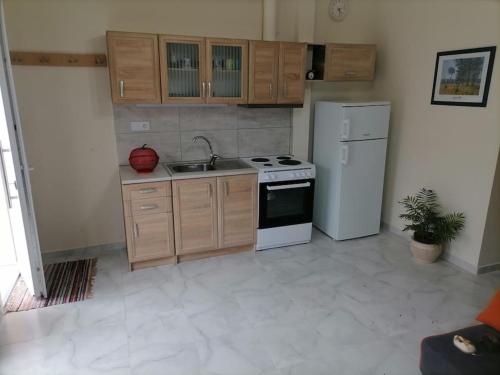 una cucina con piano cottura bianco e frigorifero di Στουντιο Βολος Ν Ιωνια a Volos