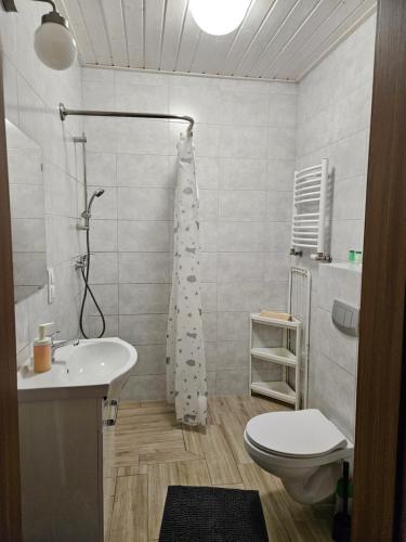 ein Bad mit einem WC, einem Waschbecken und einer Dusche in der Unterkunft Bingo in Powidz