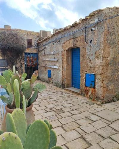 a stone building with a blue door and a cactus at Gioia di Mare in Marzamemi