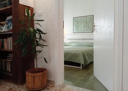 een slaapkamer met een potplant naast een bed bij Gli Archi Country Home in Giurdignano