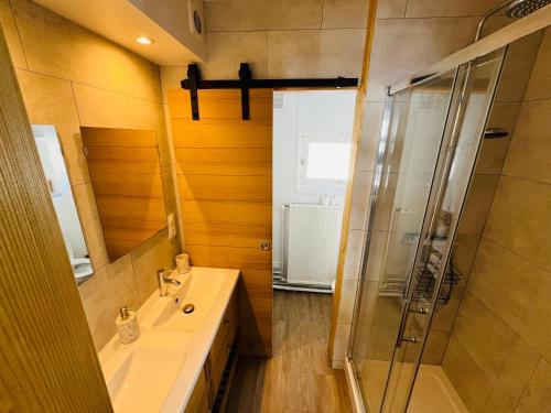 a bathroom with a sink and a shower at Résidence Bero Bisto in La Mongie