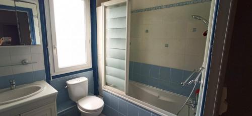 a bathroom with a toilet and a sink and a shower at Le paradis face au marché in La Rochelle