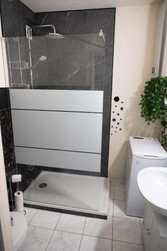a bathroom with a shower and a toilet at L’Élégant - T2 - 10 min aéroport - Parking privé in Lingolsheim