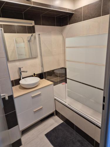 uma pequena casa de banho com um lavatório e um chuveiro em appart cosy proche zone aéronautique em Tournefeuille
