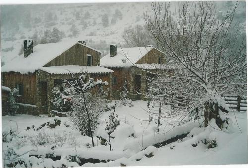 a snow covered yard with a house and trees at Alojamientos Turisticos La Utrera in Las Majadas