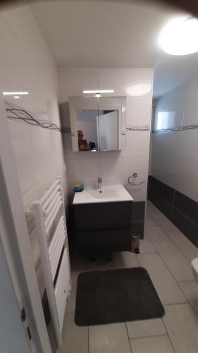 a bathroom with a sink and a toilet and a mirror at Le Nid de Pie in Le Russey