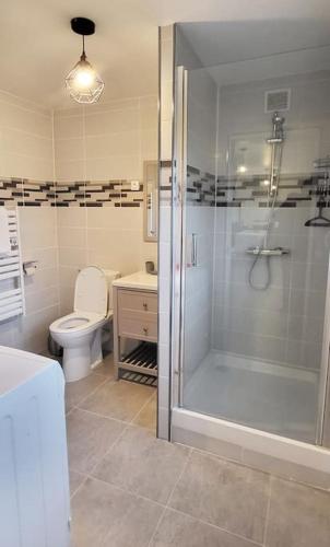 une salle de bain avec une douche, des toilettes et un lavabo dans l'établissement Maison des Ollivier - Maison Campagne Fécampoise, à Toussaint