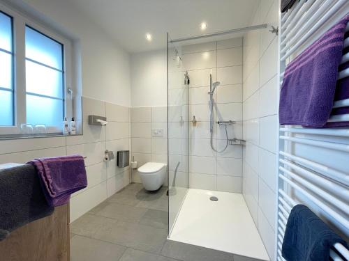 a bathroom with a glass shower and a toilet at Hotel TraumzeitHof in Eschede