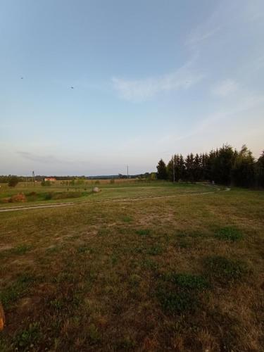 a field of grass with a road in the distance at DOM w JESIONACH Brajniki - działka 1 HEKTAR in Jedwabno