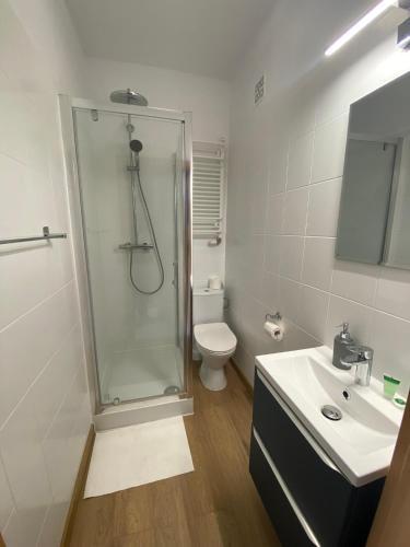 a bathroom with a shower and a toilet and a sink at U Aktorów - Pokoje Gościnne in Elblag