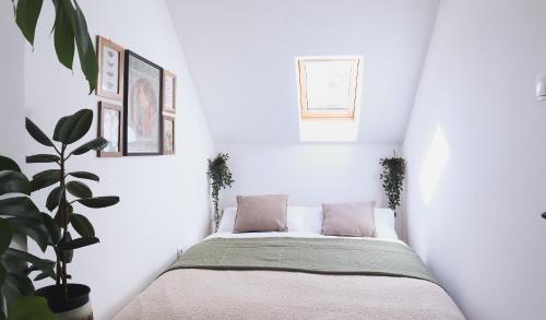 Ένα ή περισσότερα κρεβάτια σε δωμάτιο στο Urban Jungle Apartment 1 - Free Parking