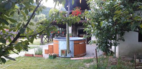 Taman di luar Cabana Poiana Galdei