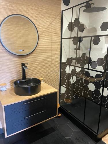 ein Bad mit einem Waschbecken und einer Dusche mit einem Spiegel in der Unterkunft Appartement joli et spacieux in Vitry-le-François