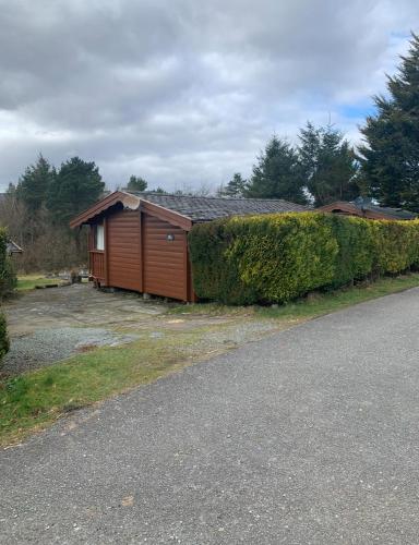 a small building next to a hedge next to a road at Snug and cosy log cabin. in Trawsfynydd