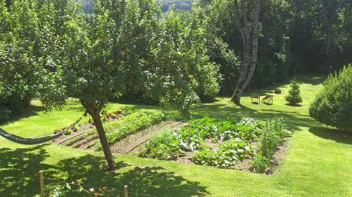 een tuin met een boom en banken in het gras bij L'OURSERIE Bed & Breakfast in Saint-Paul-en-Chablais