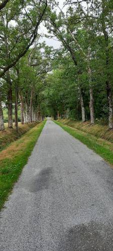 an empty road with trees on either side of it at Maison des Séquoias - Parc 1 hectare- in Veyrac