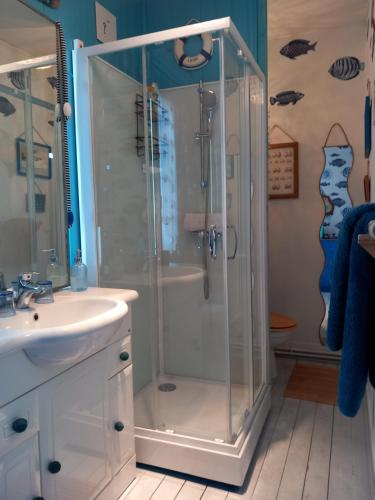 une salle de bain avec douche et lavabo dans l'établissement Chambre d'hôte & coin petit-déjeuner, à Camaret-sur-Mer