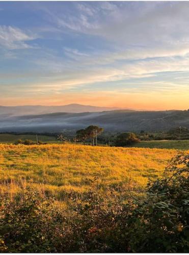a field with a view of a foggy field at La Casa di Orazio in Montecatini Val di Cecina