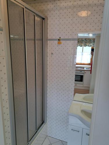 La salle de bains est pourvue d'une douche et d'un lavabo. dans l'établissement Stift Göttweigblick, à Furth