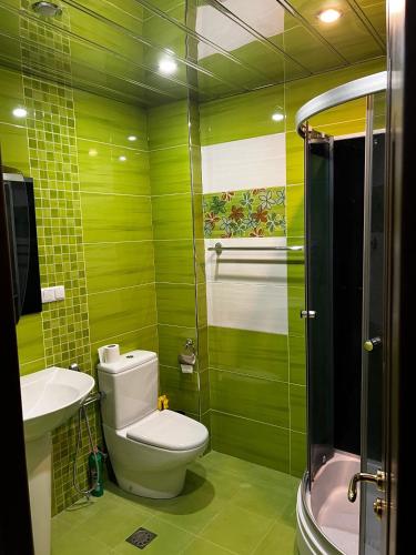 a green bathroom with a toilet and a sink at Home in Yerevan