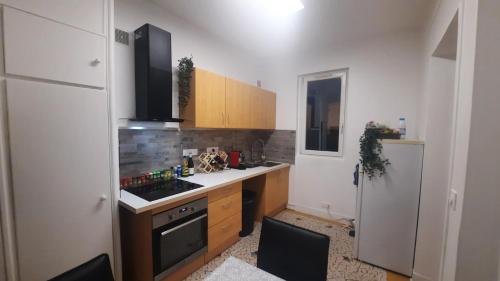 eine Küche mit einer Spüle und einem Kühlschrank in der Unterkunft La maison de Gentilly in Gentilly