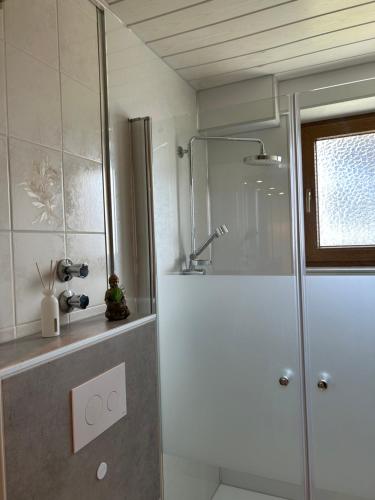 uma casa de banho com um chuveiro e uma porta de vidro em Ferienwohnung Zur Wildkatze em Hallenberg