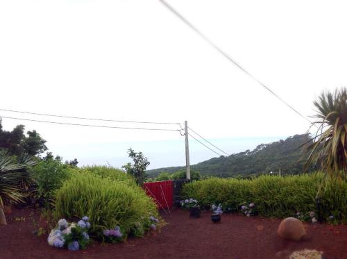 a garden with plants and flowers on the ground at Aldeia Dos Caldeirões in São Mateus