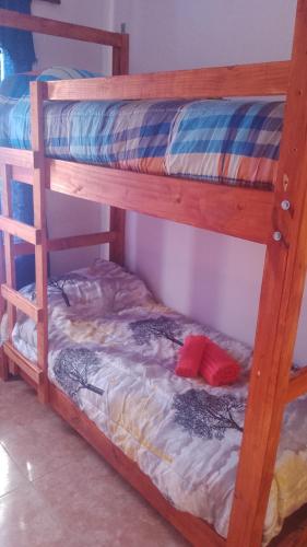 kilka łóżek piętrowych w pokoju w obiekcie 24/7 w mieście Centenario