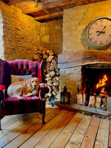 a dog laying on a couch in a room with a fireplace at Five Alls in Lechlade