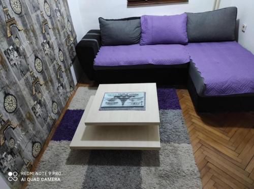 皮羅特的住宿－Apartman Ela，客厅配有紫色沙发和桌子