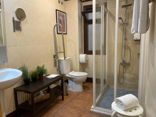 e bagno con doccia, servizi igienici e lavandino. di Apartamentos Inside Casa de la Alberca a Granada