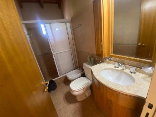 y baño con aseo, lavabo y ducha. en Mendoza San Martin Sur Apart en Godoy Cruz