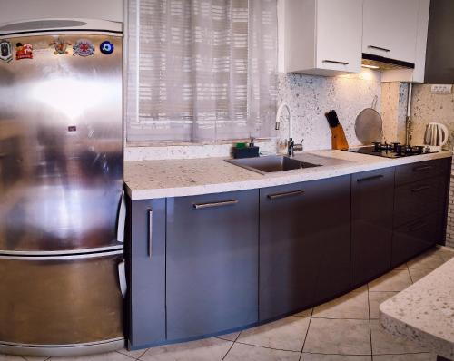 La cuisine est équipée d'un réfrigérateur en acier inoxydable et d'un évier. dans l'établissement Apartman Selska, à Zagreb