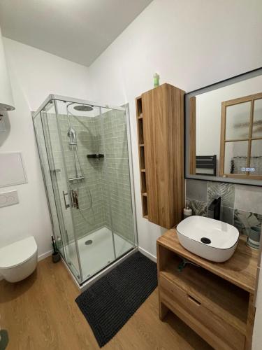 une salle de bain avec une douche, des toilettes et un lavabo dans l'établissement La Villa Des Vents en bord de mer, à Dunkerque