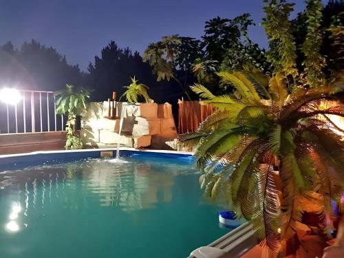 a palm tree next to a swimming pool at night at Quinta Forum in Tocha