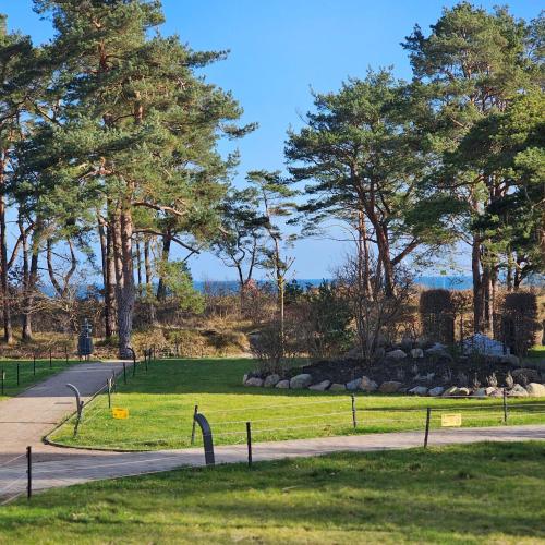 a path in a park with trees and grass at Sun Island in Baabe