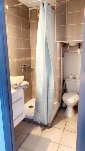 une petite salle de bain avec toilettes et douche dans l'établissement Studio les 5M centre Port Cap d'Agde, au Cap d'Agde