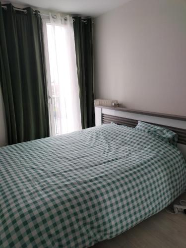 ein Schlafzimmer mit einem Bett mit einer karierten Decke in der Unterkunft Joy's apartment in Tours