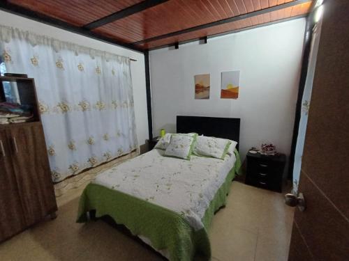 een slaapkamer met een bed met groene lakens en kussens bij Casa Carmen de apicala in Carmen de Apicalá
