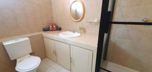 a bathroom with a toilet and a sink and a mirror at Beachfront Pereybere - Azur Beach Complex in Pereybere