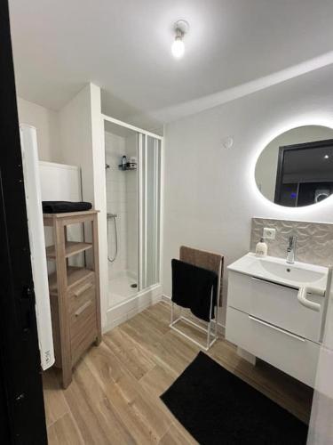 une salle de bain avec un lavabo et une douche dans l'établissement Studio indépendant & lumineux, à Cholet