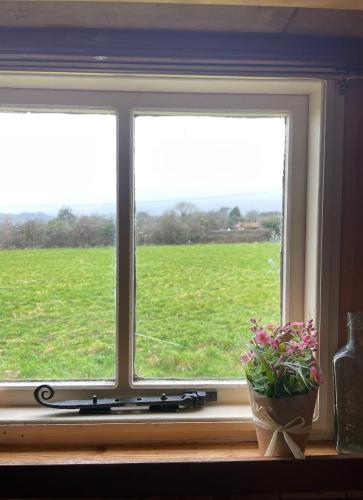 Κήπος έξω από το Miners_meadow self contained Shepherds hut