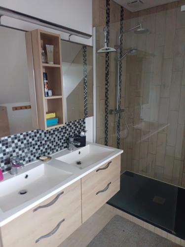 une salle de bain avec un lavabo blanc et une douche dans l'établissement Location chez l habitant, à Argentré-du-Plessis