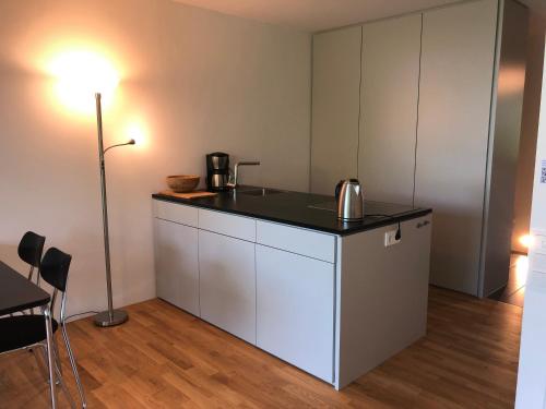 a small kitchen with a counter top and a table at Ferienwohnung Mainaublick in Konstanz