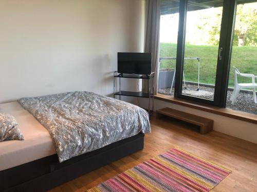 a bedroom with a bed and a tv and a window at Ferienwohnung Mainaublick in Konstanz