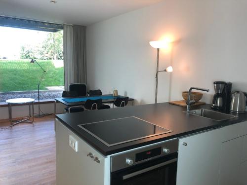 a kitchen with a sink and a counter top at Ferienwohnung Mainaublick in Konstanz