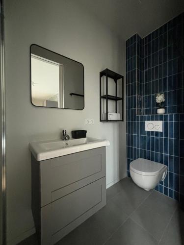 La salle de bains est pourvue d'un lavabo, de toilettes et d'un miroir. dans l'établissement Hof Molenerve - gastenkamers en vakantiewoning, à Domburg