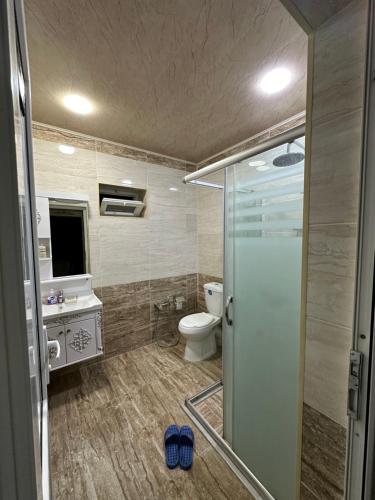 a bathroom with a shower and a toilet and a sink at Golden House in Gabala