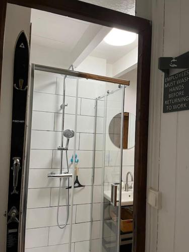 une salle de bain avec douche et lavabo dans l'établissement Le Gite du Petit Pont, à Omonville-la-Rogue